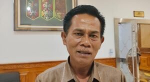 WhatsApp Image 2025-11-11 at 18.49.45_13d83484